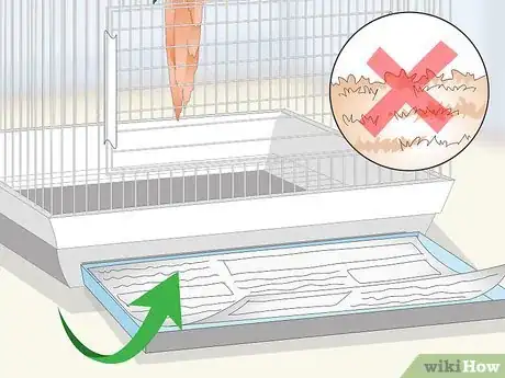 Image titled Set Up a Macaw Habitat Step 6