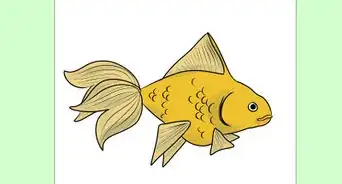 Draw Goldfish