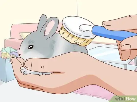 Image titled Befriend a Shy Rabbit Step 12