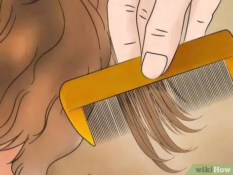 Image titled Get Rid of Lice With Orange Juice Step 7