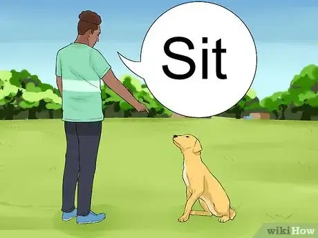 Image titled Keep a Dog from Chasing Cars Step 1