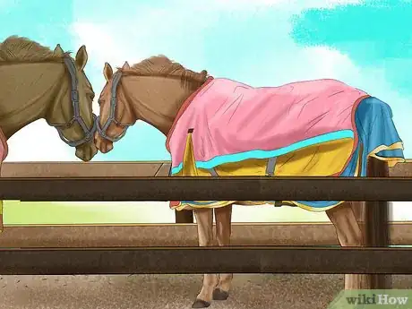 Image titled Prevent Parasites in Horses Step 4