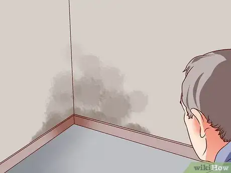 Image titled Deal With Exposure to Potentially Toxic Mold Step 1