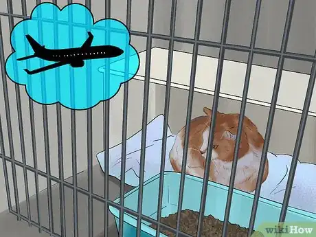 Image titled Budget for a New Cat Step 9