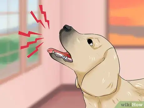 Image titled Choose the Right Dog Breed to Protect Your Home Step 2