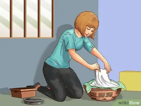 Image titled Earn the Trust of a Feral Kitten Step 11