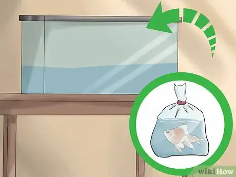 Image titled Transport Fish Step 22