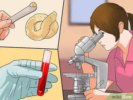 Image titled Diagnose Canine Coronavirus Step 8