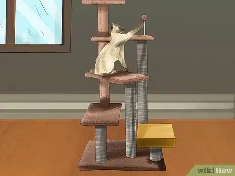 Image titled Provide High Resting Spaces for Your Cat Step 6