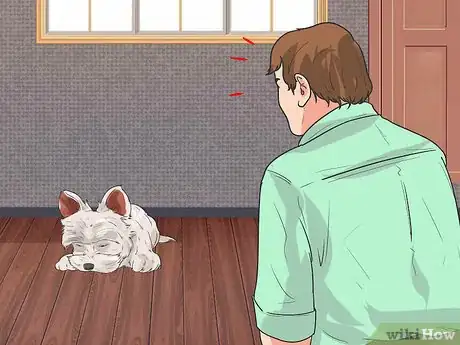 Image titled Diagnose Portosystemic Shunts in Yorkshire Terriers Step 4