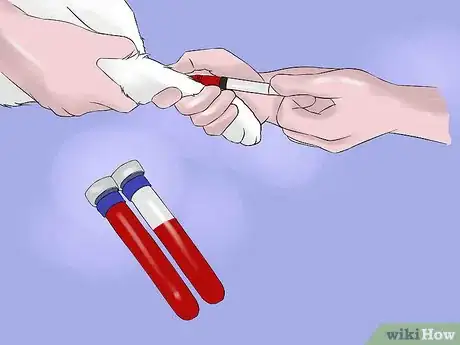 Image titled Treat Chronic Vomiting in Cats Step 8