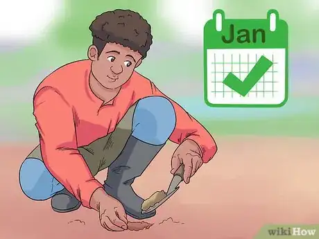 Image titled Grow Delphinium Step 1