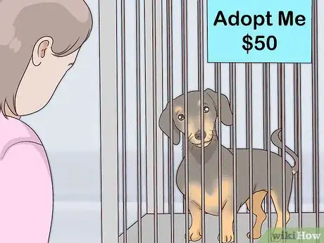 Image titled Choose a Small Dog Step 5