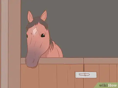 Image titled Condition Your Horse for Endurance Riding Step 14