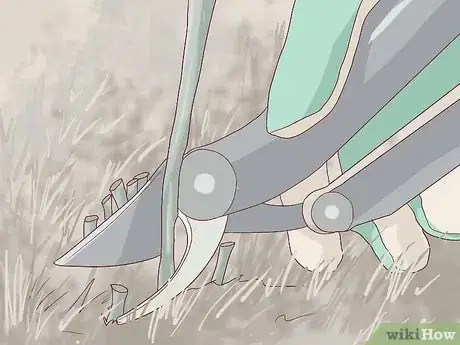 Image titled Prepare Your Garden for Winter Step 3