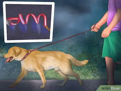 Image titled Buy Christmas Gifts for a Dog Step 2