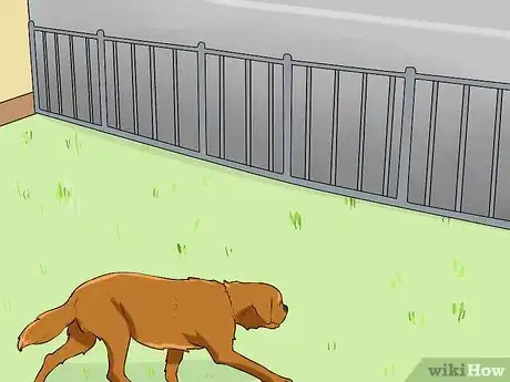 Image titled Keep a Dog from Chasing Cars Step 7