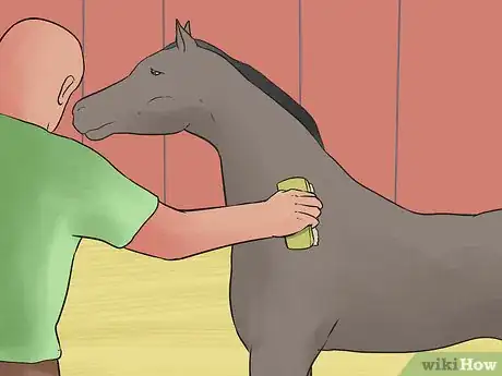 Image titled Care for an Arabian Horse Step 11