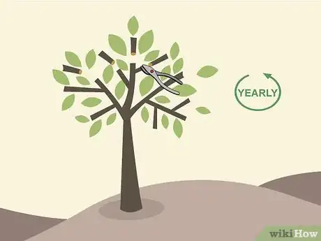 Image titled Prune Citrus Trees Step 1