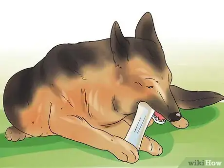 Image titled Become Your Dogs' Playmate Step 9