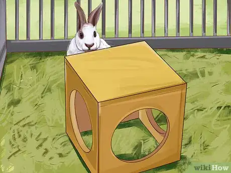 Image titled Choose Toys for Your Rabbit Step 5