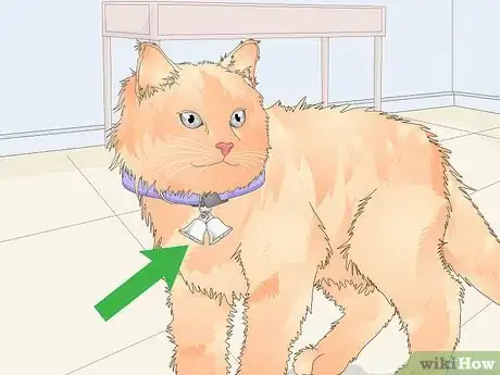 Image titled Buy a Collar for Your Cat Step 3