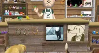 Get Rare Items in Nintendogs