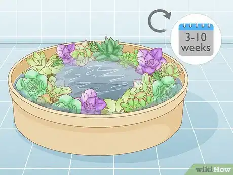 Image titled Make a Succulent Wreath Step 9