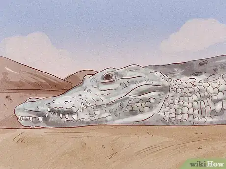 Image titled Visit Kruger National Park Step 11