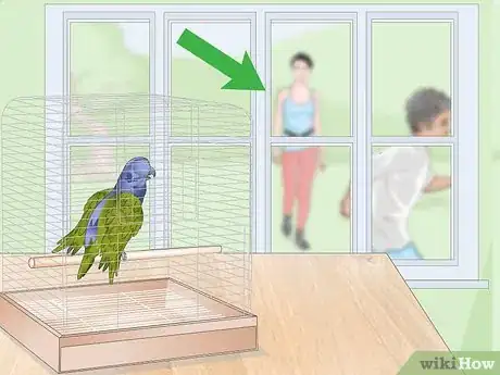 Image titled Keep a Pionus Parrot Entertained Step 13
