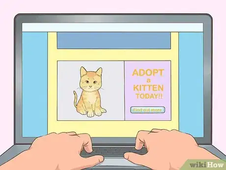 Image titled Find Homes for a Litter of Kittens Step 10