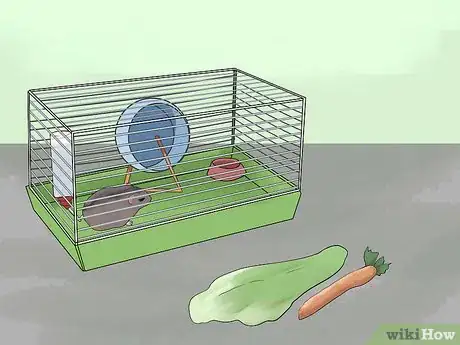 Image titled Set a Routine for Your Hamster Step 3