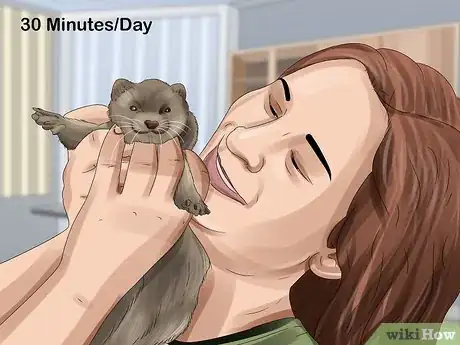Image titled Care for a Ferret Step 14