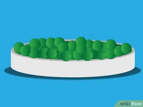 Image titled Grow Agapanthus Step 6