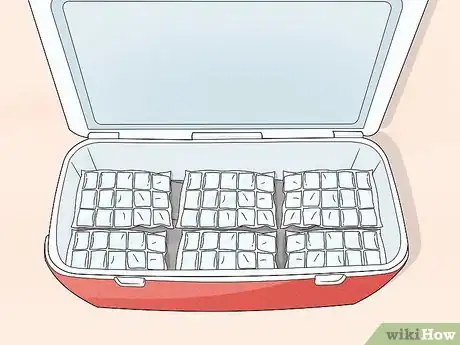 Image titled Pack a Cooler for Camping Step 6
