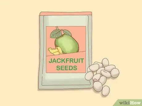 Image titled Plant Jackfruit Step 1