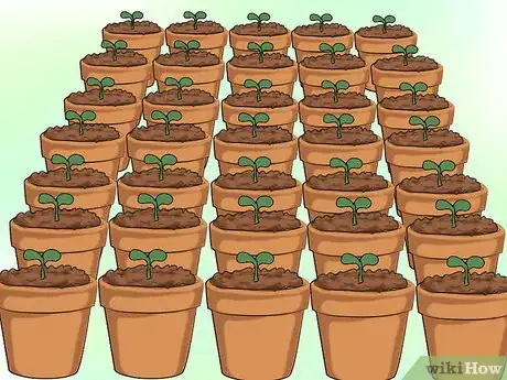 Image titled Build a Green Roof Step 8