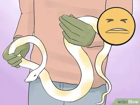 Image titled Hold a Snake Step 6