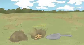 Cross Pollinate Different Vegetables to Create Hybrids