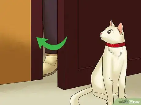 Image titled Eat Without a Cat Begging Step 9