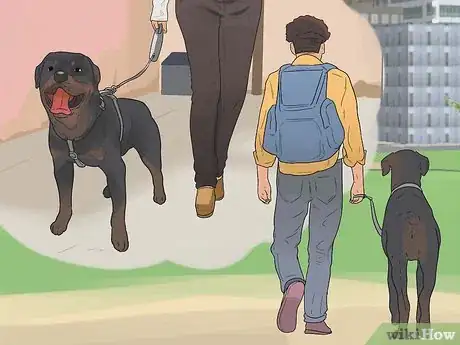 Image titled Care for Rottweilers Step 10