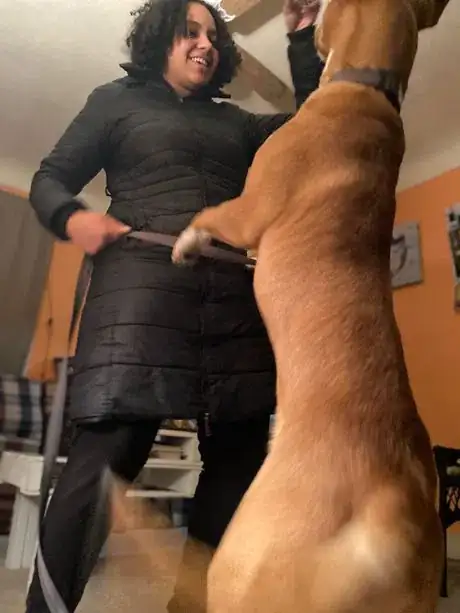 Image titled Moriah Pet 2