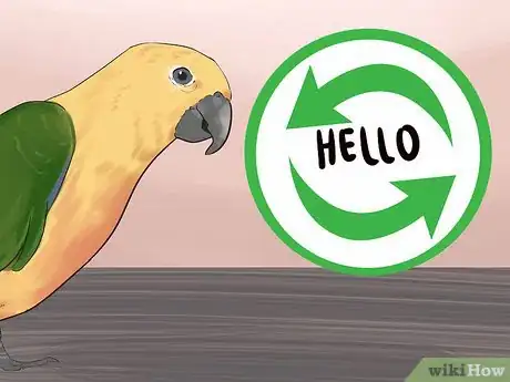 Image titled Teach a Conure to Talk Step 7