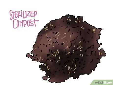 Image titled Grow Winter Onions Step 4