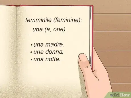 Image titled Learn Articles in Italian Step 10