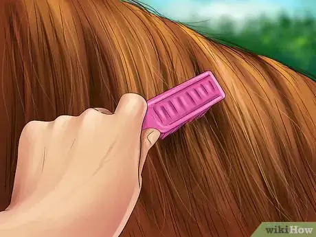 Image titled Brush the Mane of a Horse Step 5