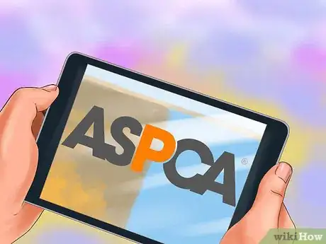 Image titled Choose Safe Houseplants when You Have a Cat Step 1