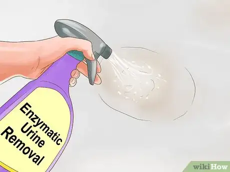 Image titled Get Dog Smell Out of a Basement Step 4