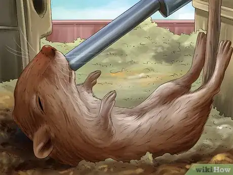 Image titled Treat Gerbils Prone to Seizure Step 9