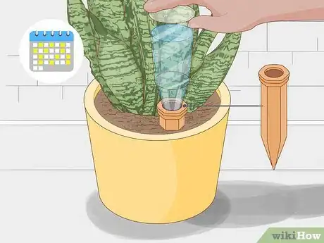 Image titled Prevent over Watering in House Plants Step 5